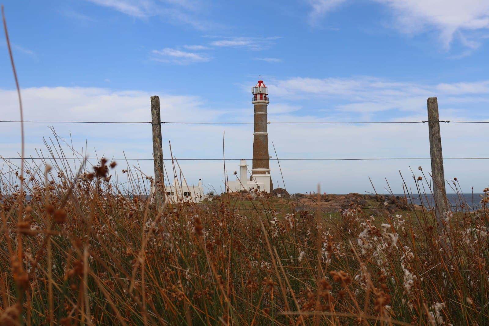 Cabo Polonio — white and brown lighthouse under blue sky during daytime