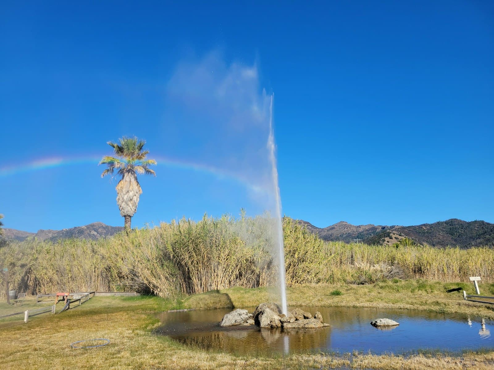 Calistoga — a spout of water shooting out of a pond
