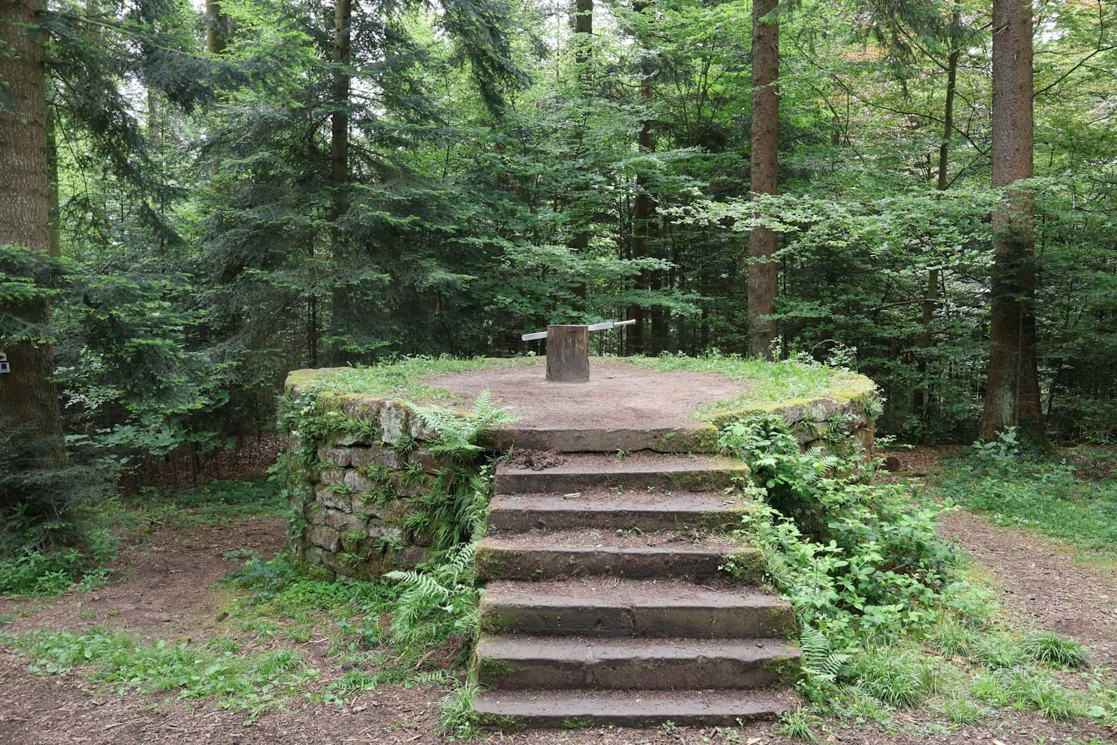 Calw — Stone steps lead to a forest platform.