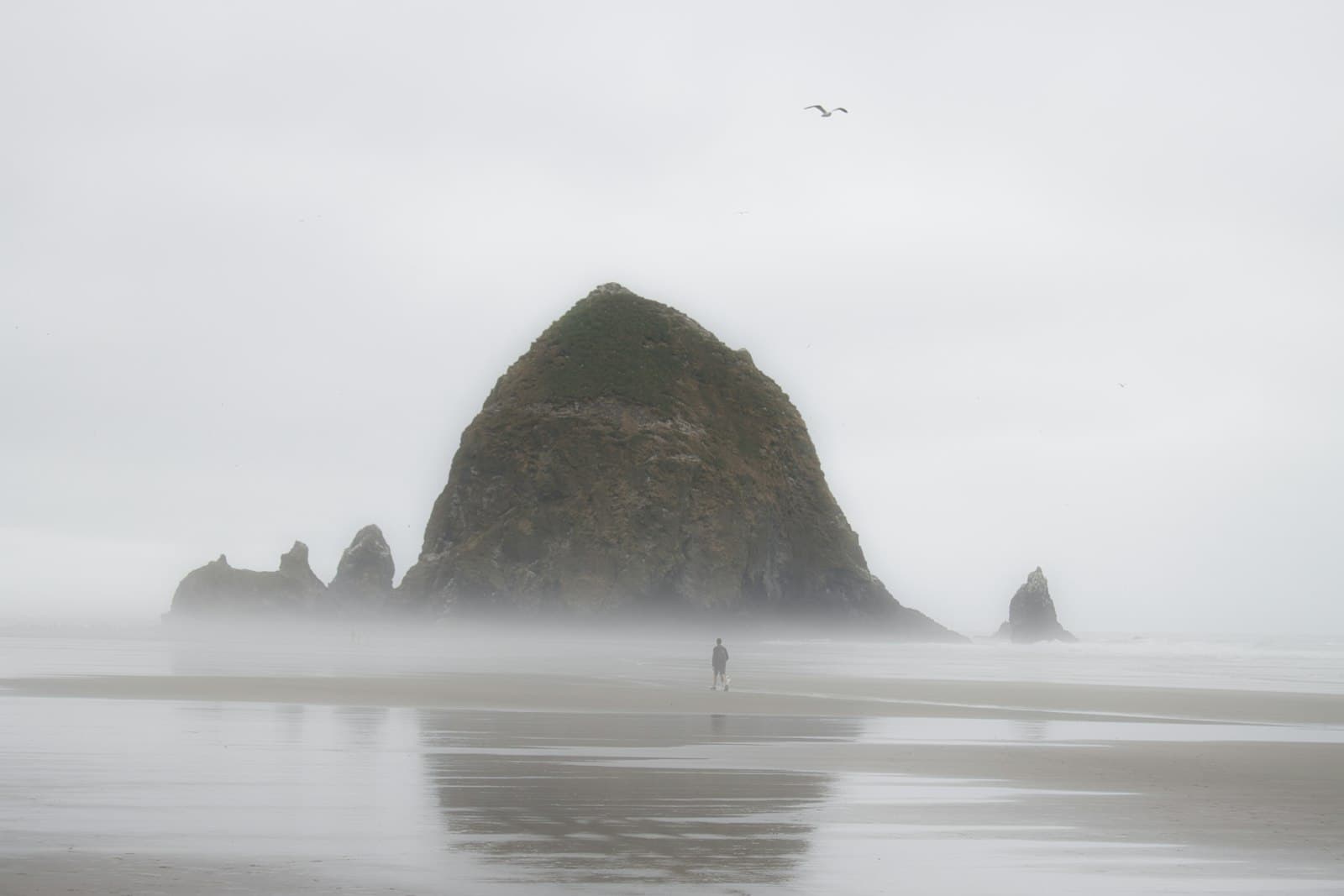 Cannon Beach — A person standing on a beach with a rock in the background