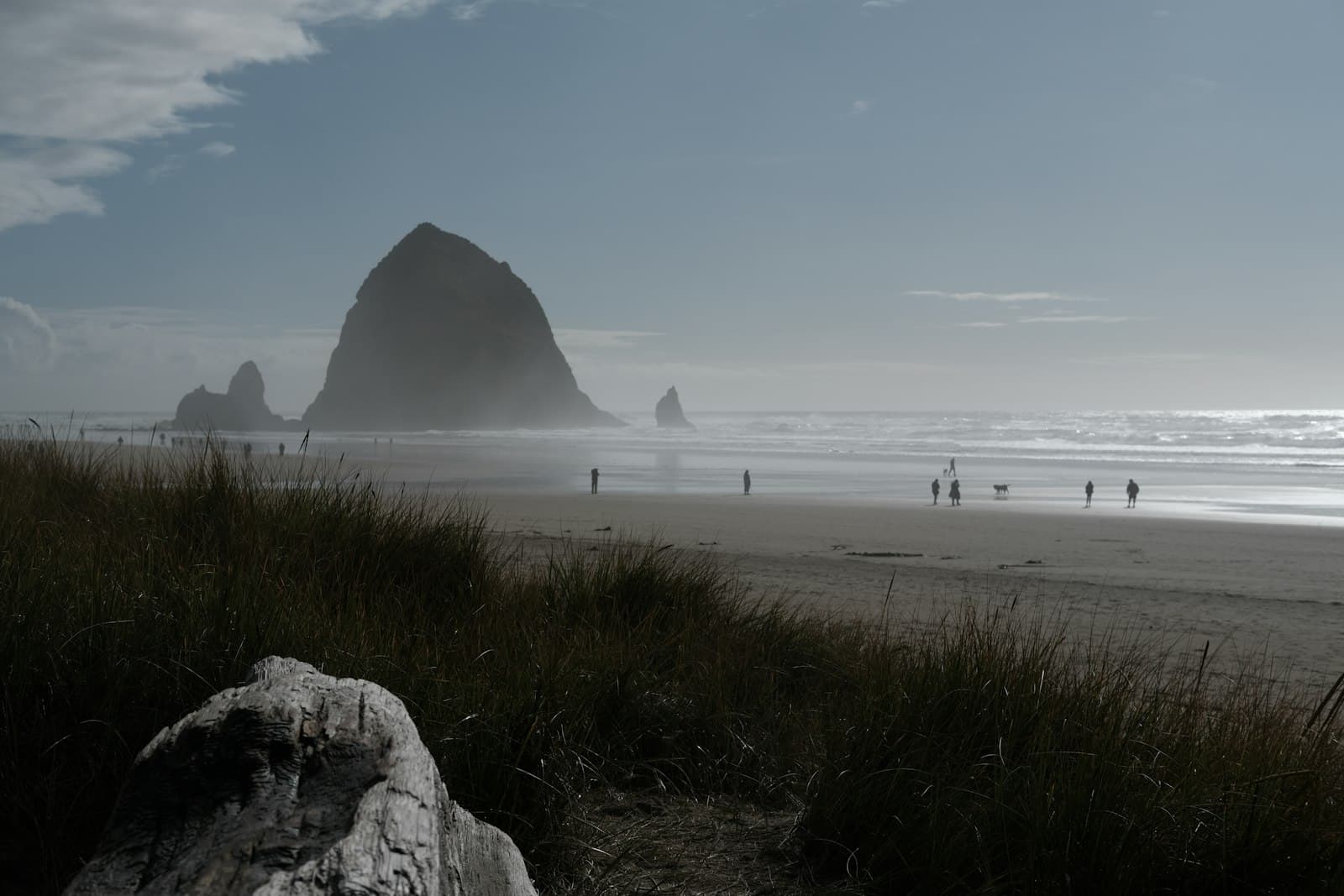 Cannon Beach — a group of people standing on top of a sandy beach