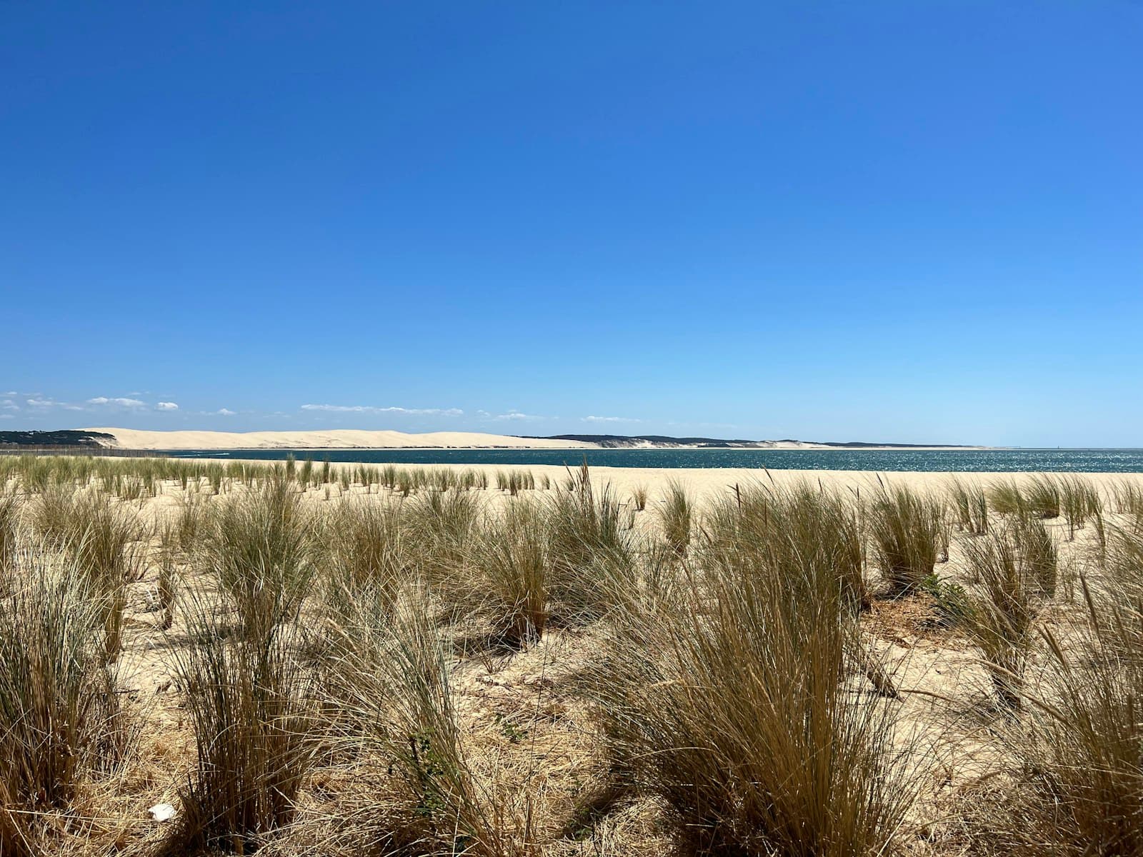 Cap-Ferret — a field of dry grass