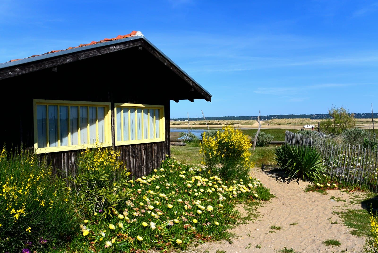 Cap-Ferret — brown wooden house near green grass field under blue sky during daytime