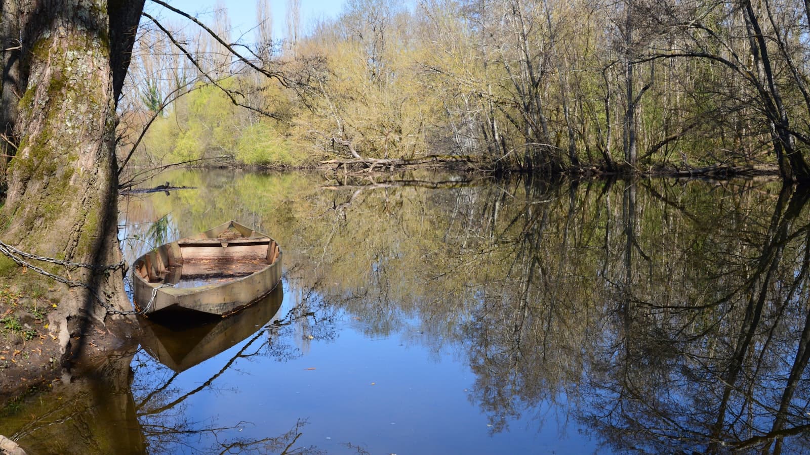 Carennac — a small boat floating on top of a river next to a forest