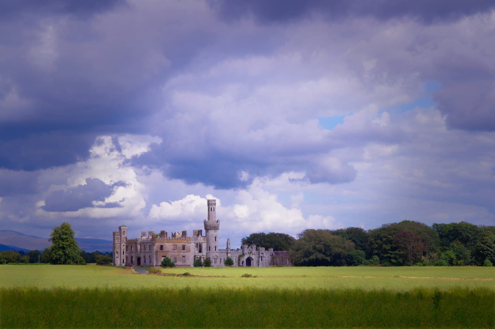 Carlow — green grass field near green trees under white clouds and blue sky during daytime