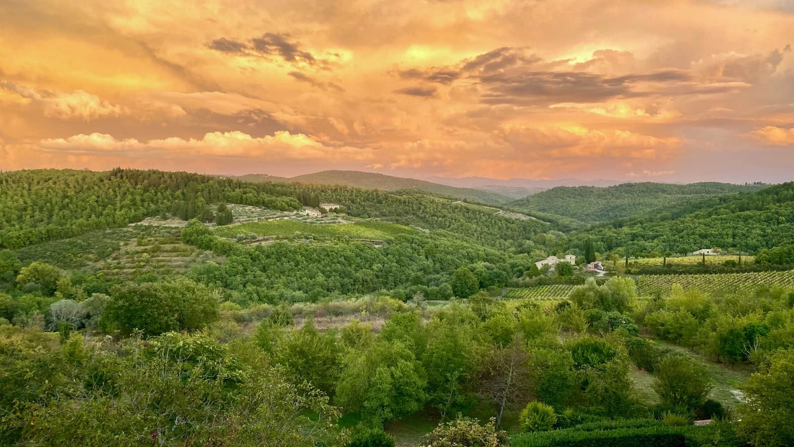 Castellina in Chianti — a scenic view of a green valley with mountains in the background