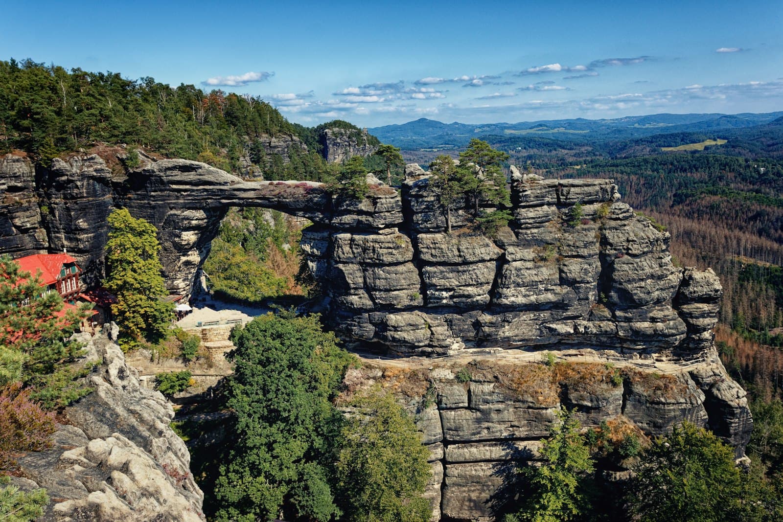 Česká Lípa — green trees on rocky mountain under blue sky during daytime