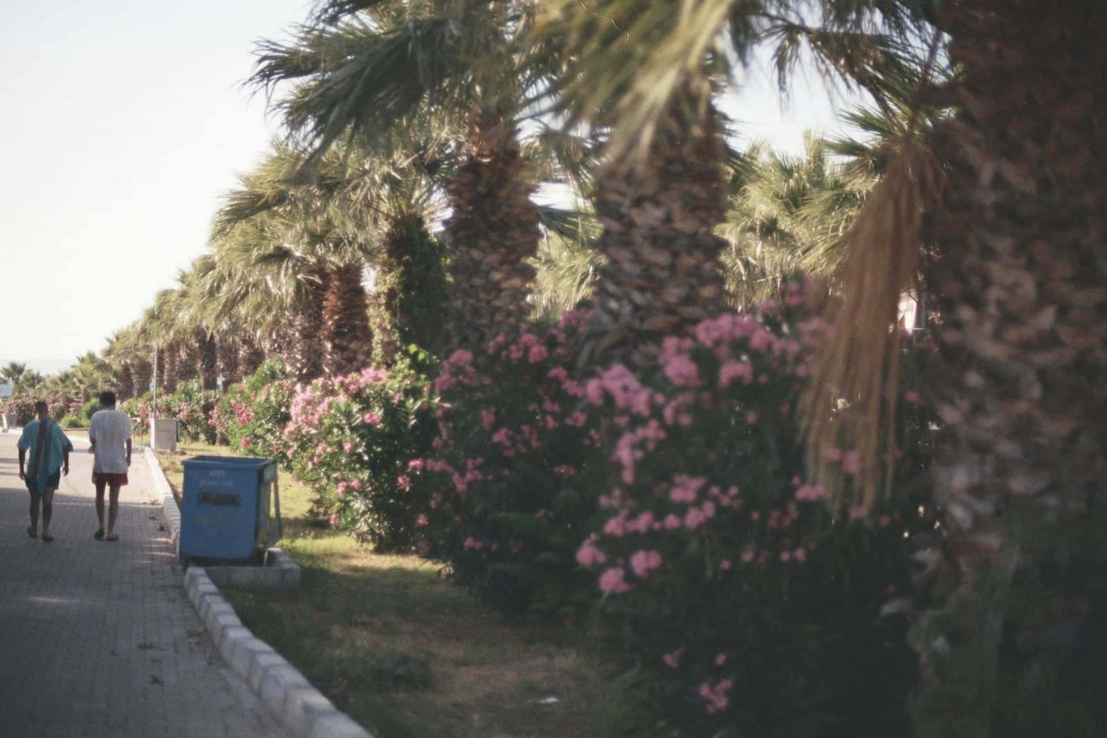 Çeşme — a couple of people walking down a street next to palm trees