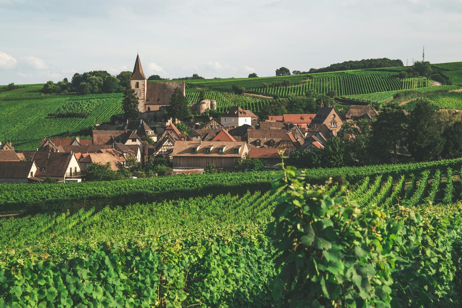 Châlons-en-Champagne — a small village surrounded by lush green fields
