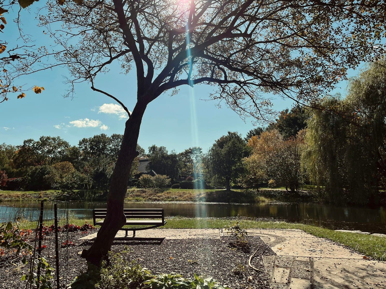 Champaign — a park bench sitting next to a lake