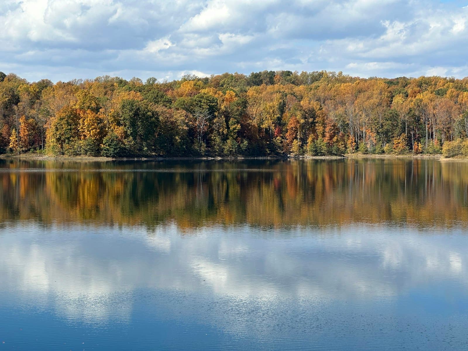 Charlottesville — a body of water surrounded by lots of trees
