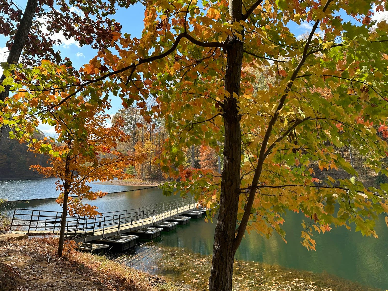 Charlottesville — a bridge over a body of water surrounded by trees