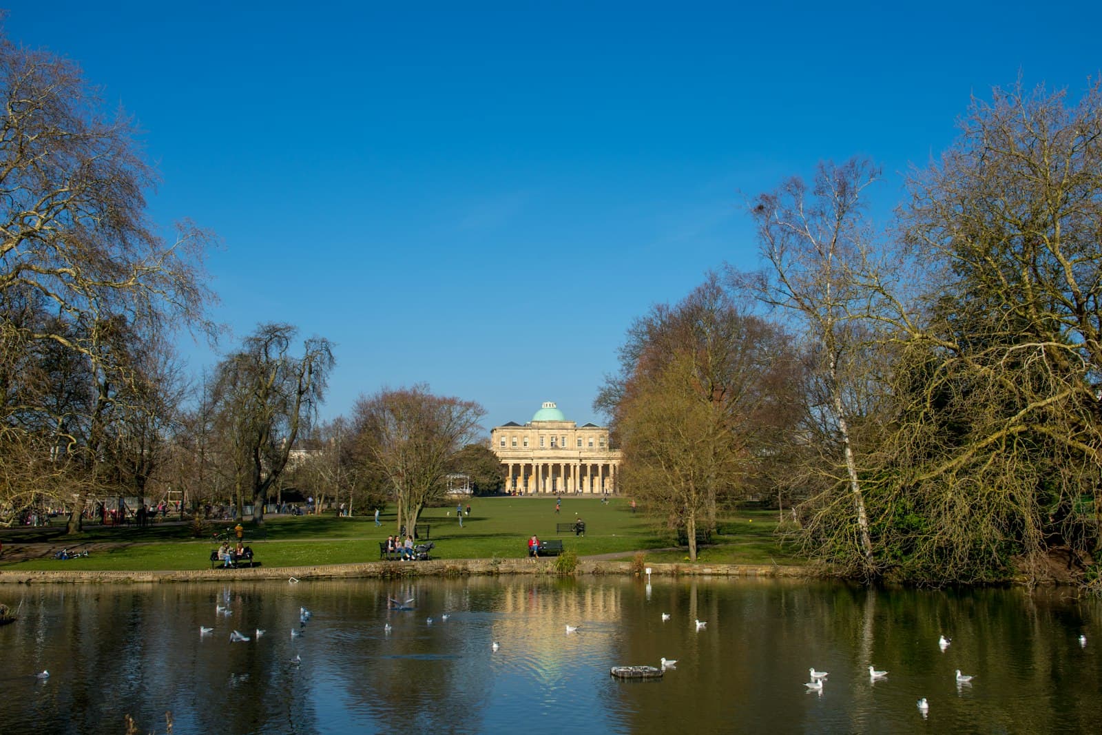 Cheltenham — swan on body of water during daytime