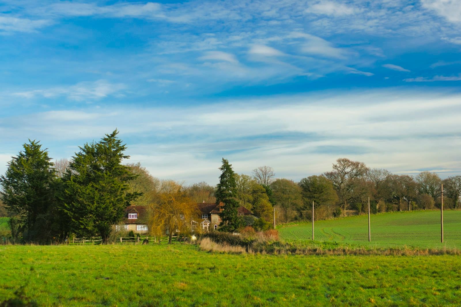 Chichester — green grass field with trees under blue sky during daytime