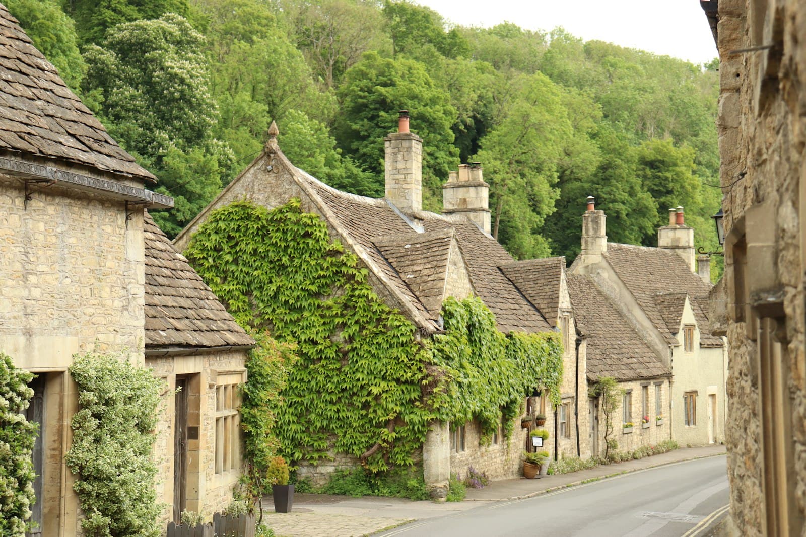Cirencester — a row of houses with ivy growing on them