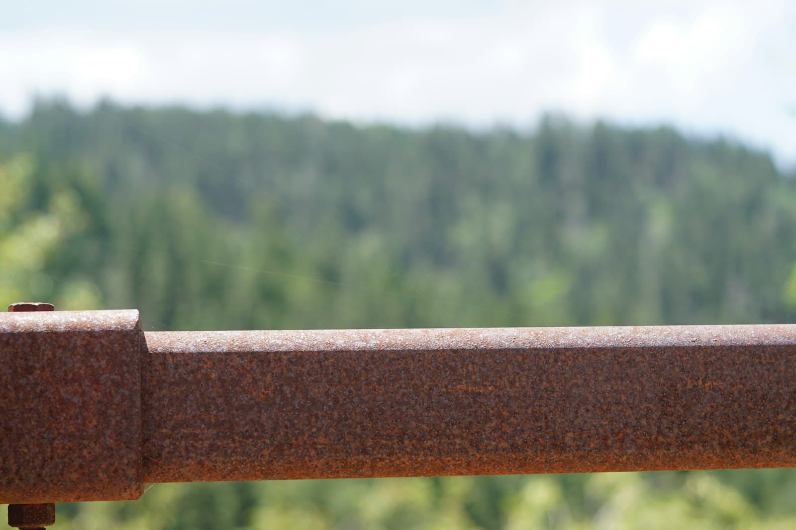 Cloudcroft — A close up of a bird perched on a rail