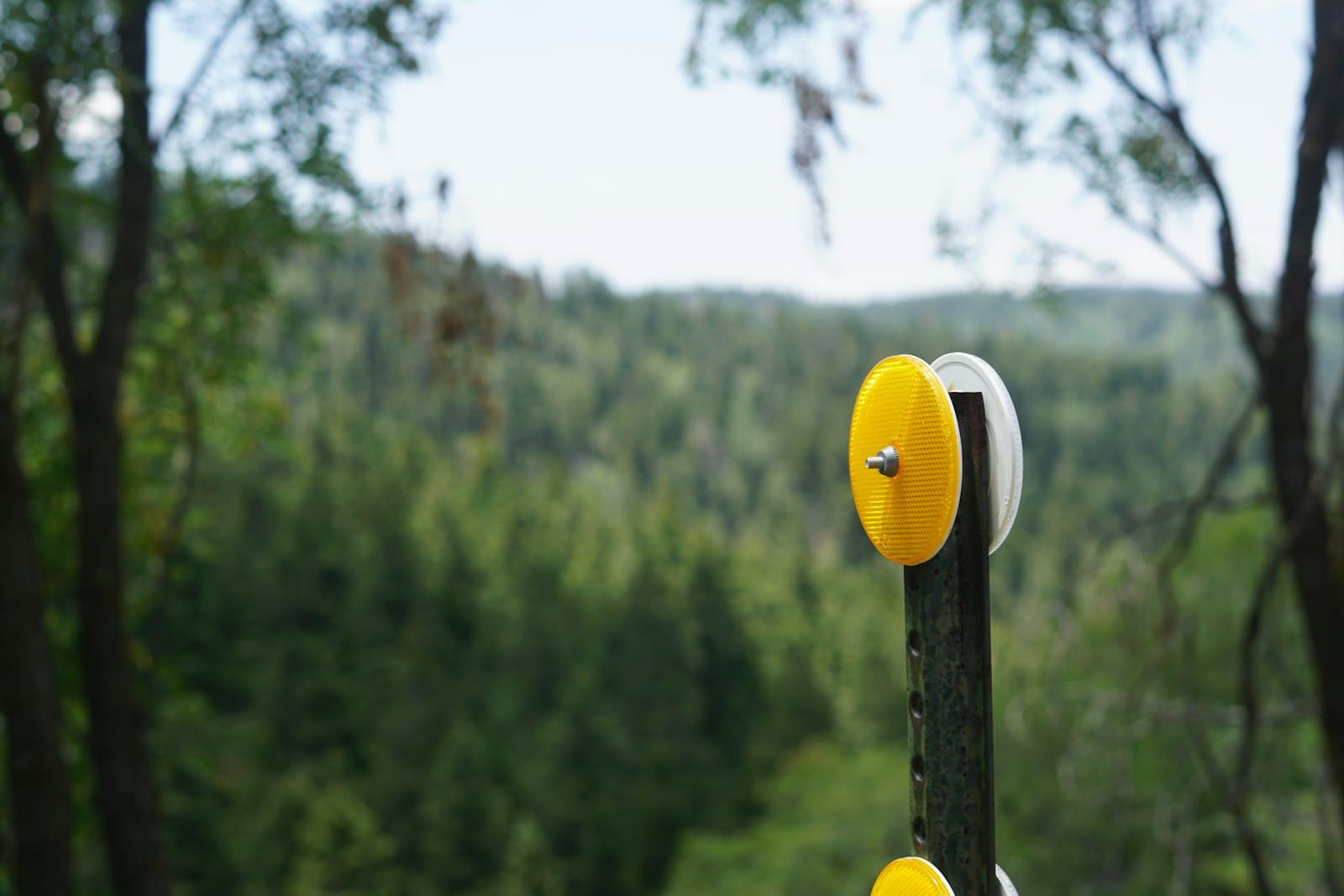 Cloudcroft — A couple of yellow and white clocks sitting on top of a wooden pole