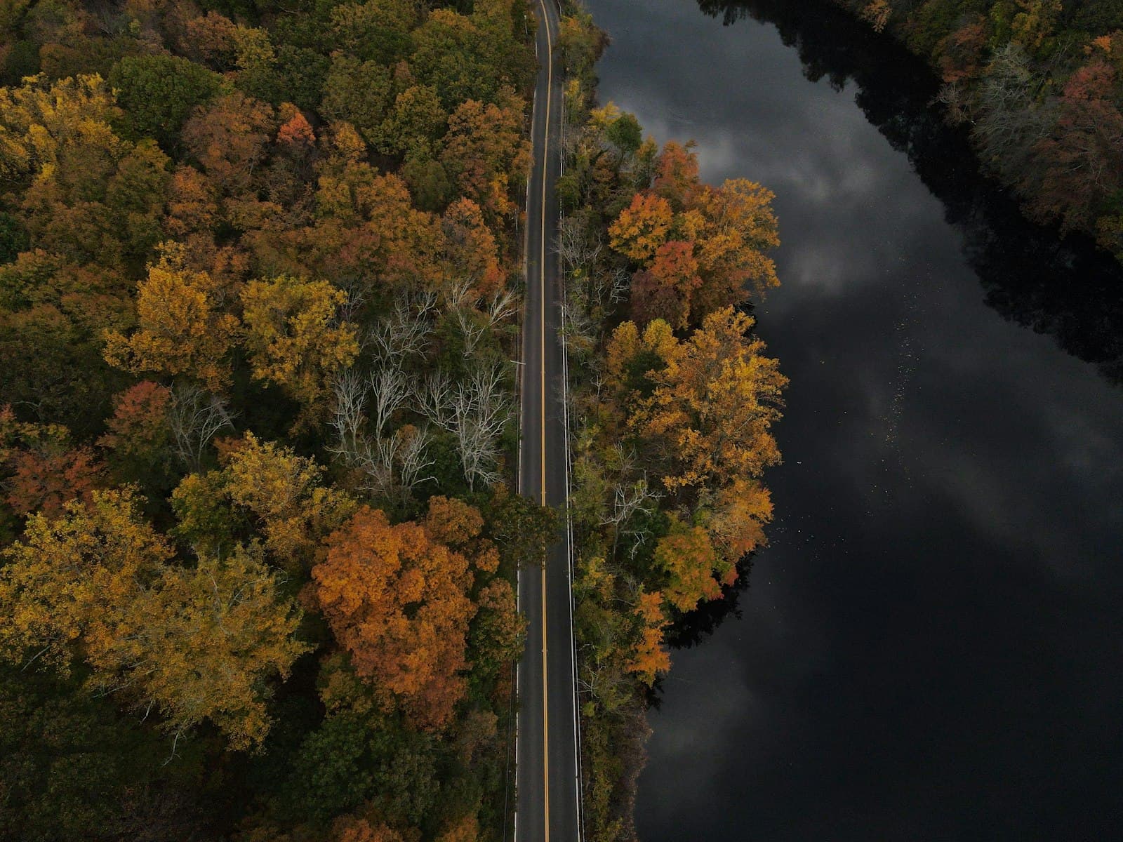 Cold Spring — a river with trees around it
