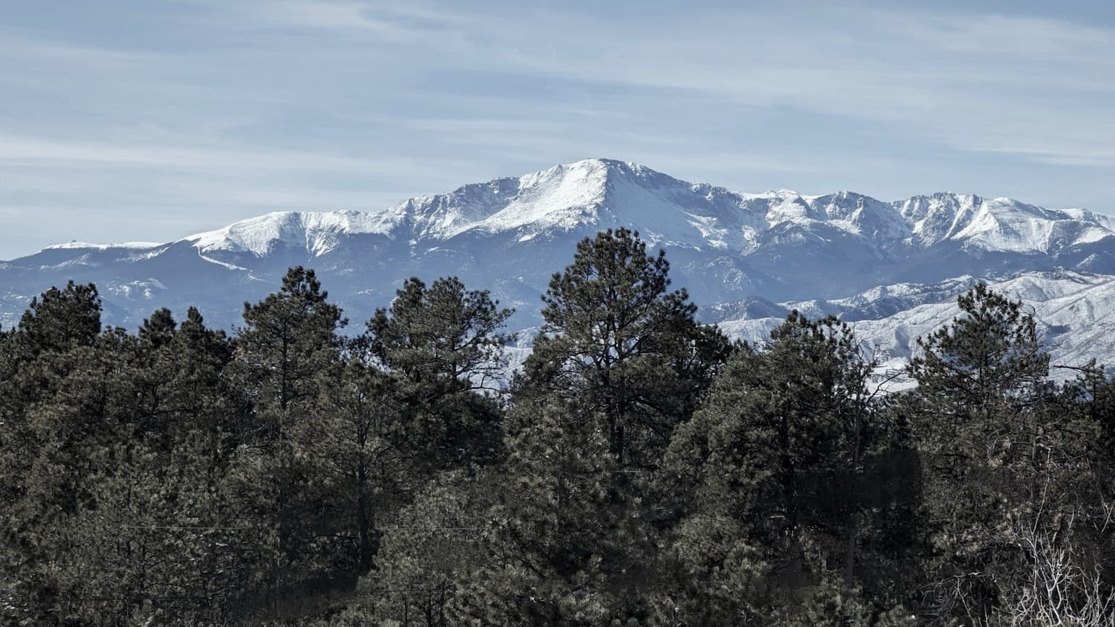 Colorado Springs — a view of a mountain range with trees in the foreground