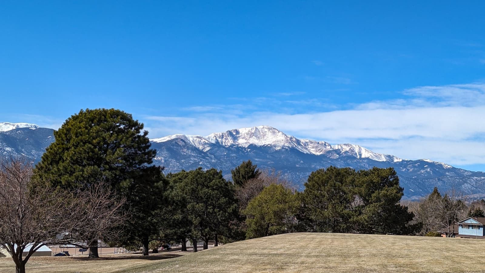 Colorado Springs — a grassy field with trees and mountains in the background