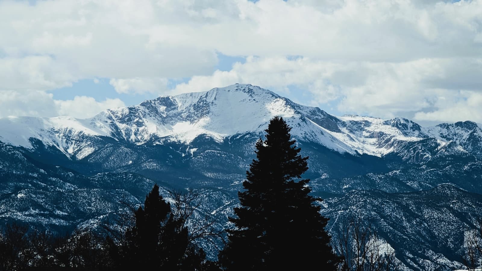 Colorado Springs — a view of a mountain range with trees in the foreground