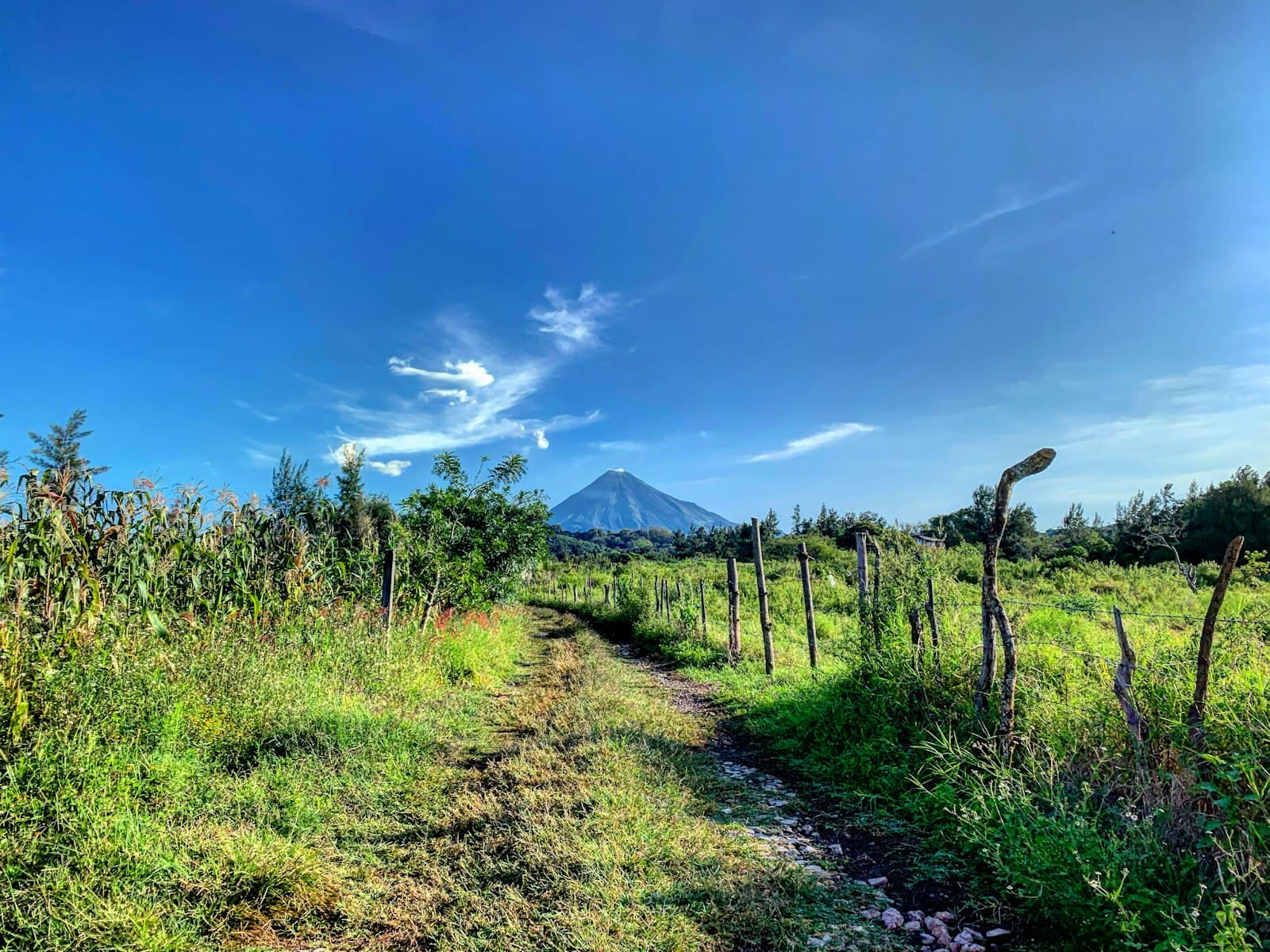 Comala — green grass field near mountain under blue sky during daytime