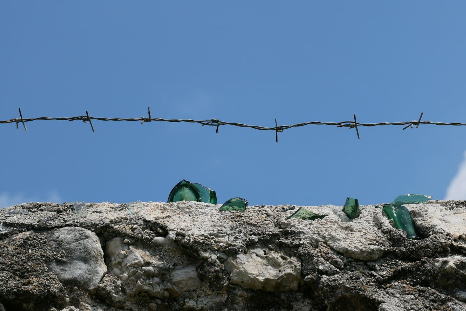 Conegliano — a group of green objects on a wire fence