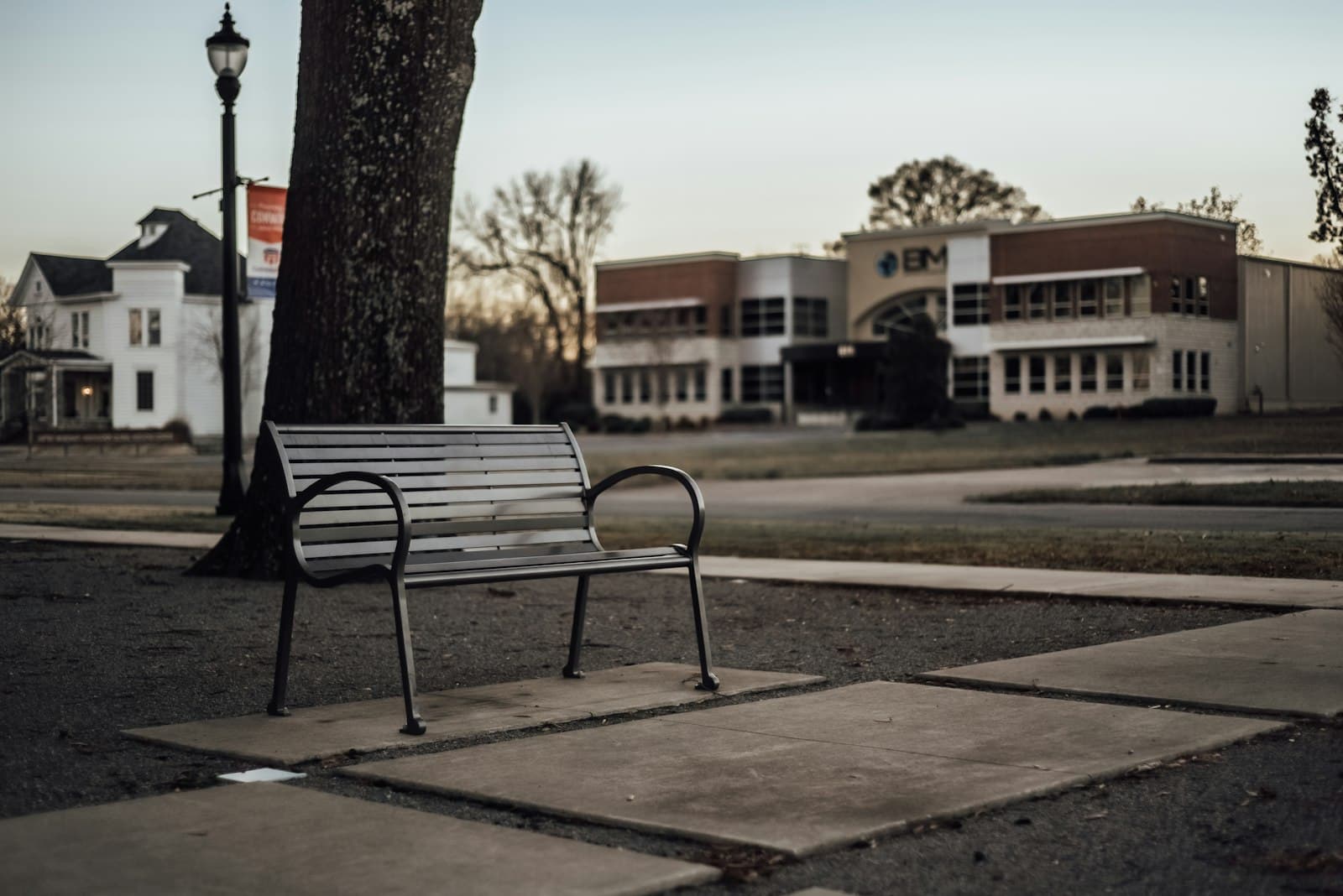 Conway — black metal bench near brown tree during daytime