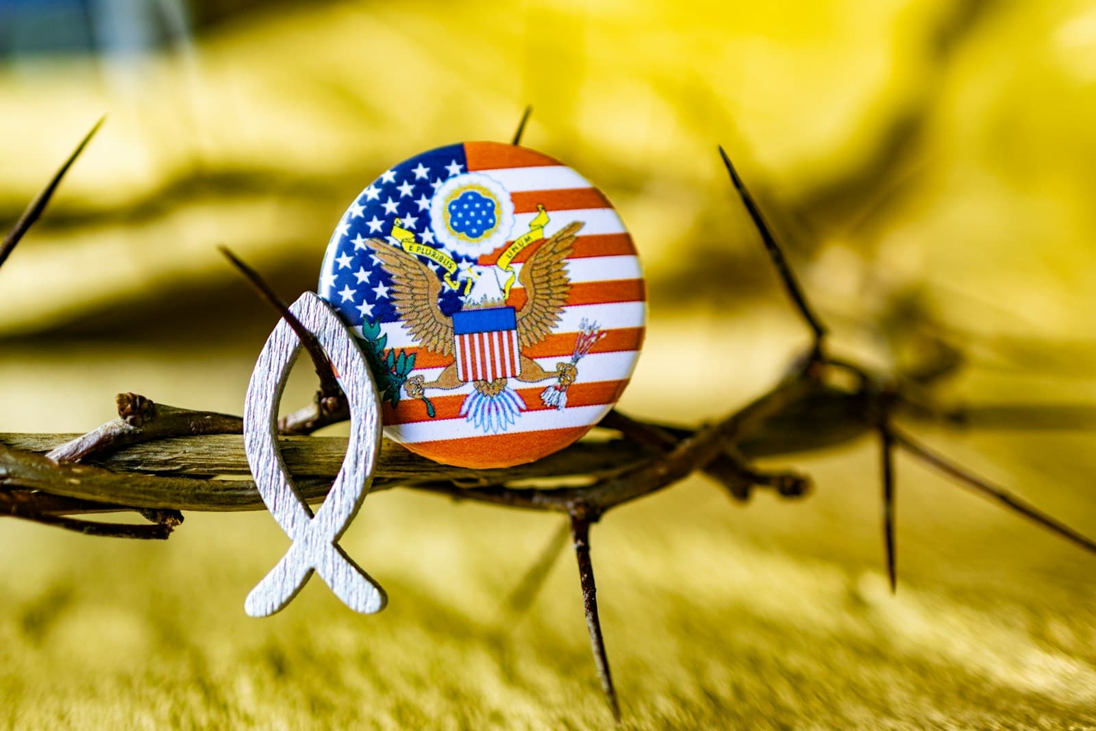 Corpus Christi — A close up of a crown of thorns with an american flag pin on it