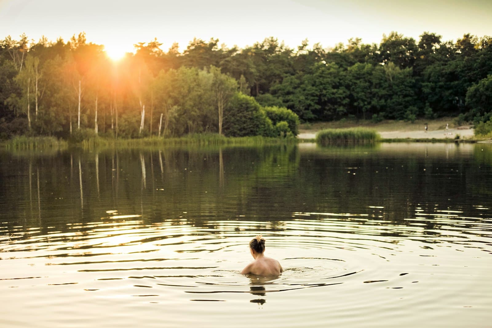 Cottbus — topless person in lake water near trees during daytime