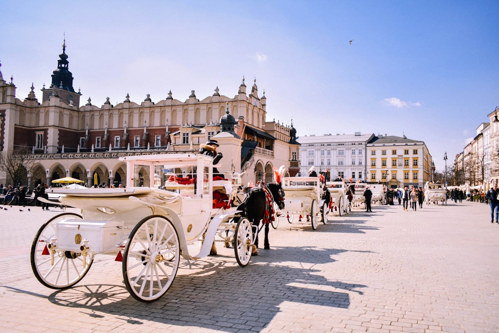 Krakow — black horses