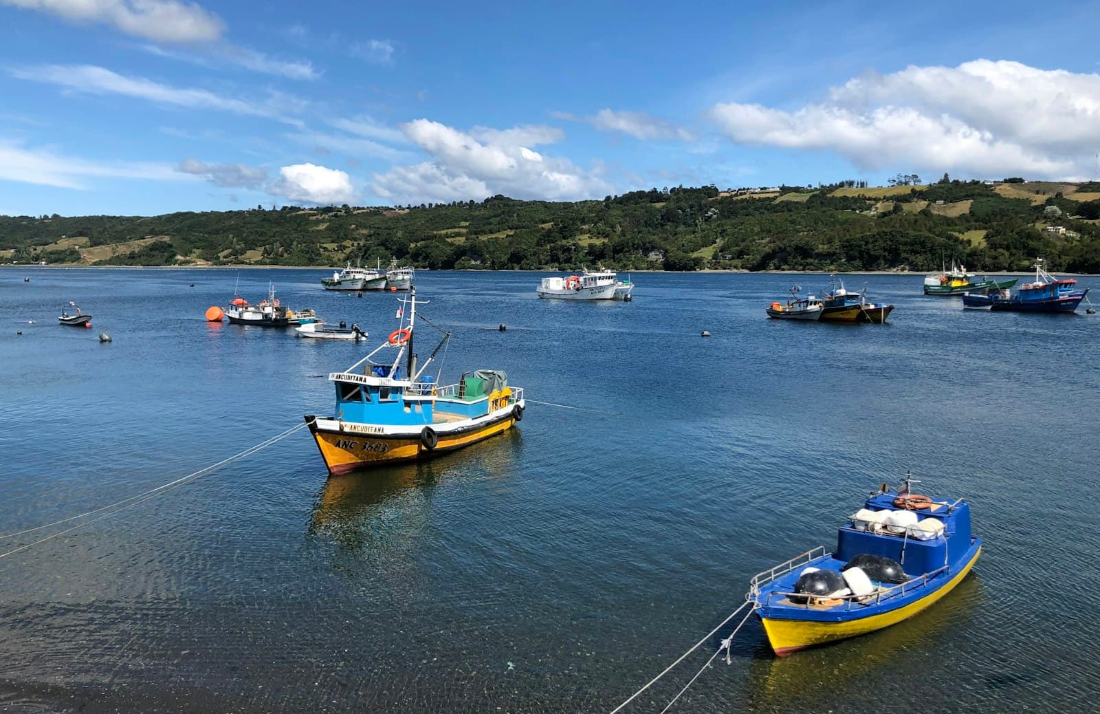 Dalcahue — blue and yellow boat on sea under blue sky during daytime