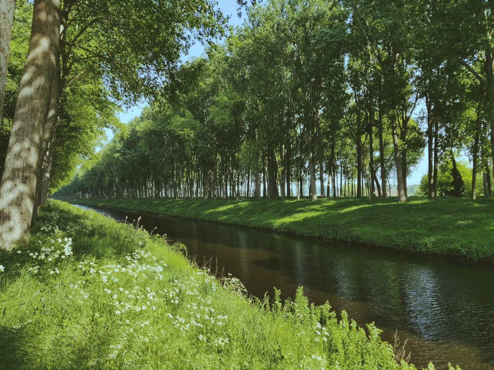 Damme — green grass field near river