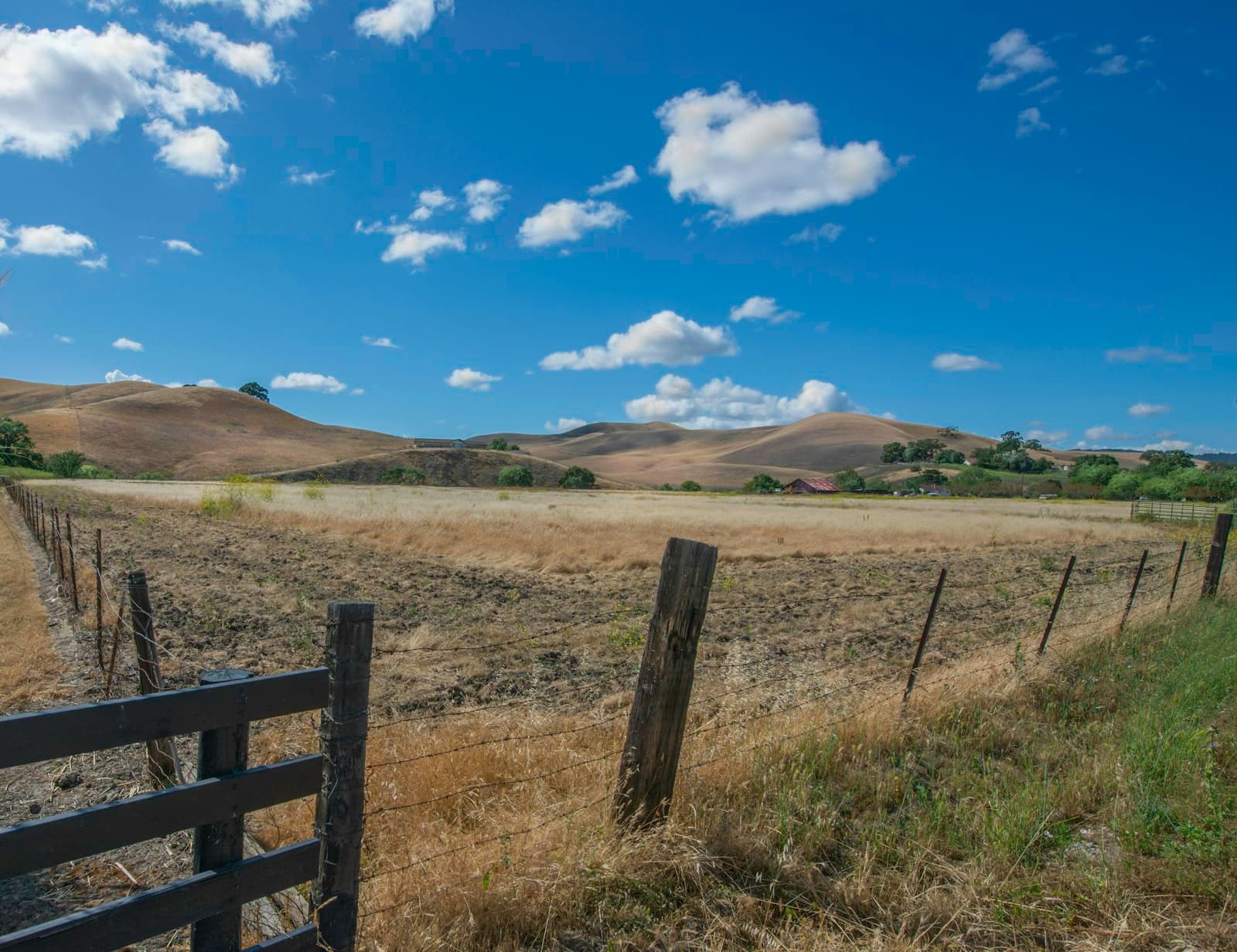 Danville — brown wooden fence on brown grass field under blue sky during daytime