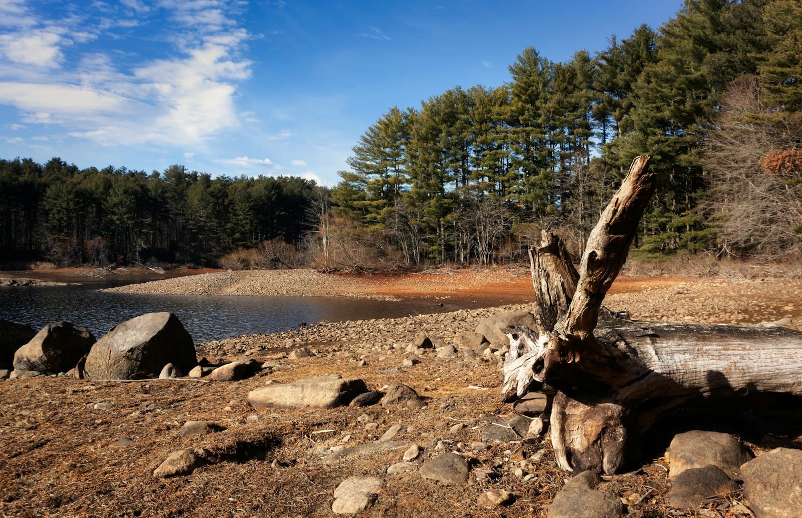 Deadwood — A log sitting on top of a dirt field next to a lake