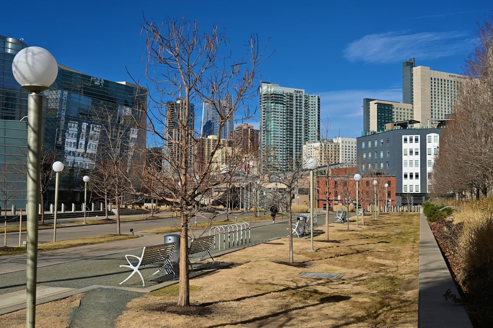 Denver — a view of a city with tall buildings in the background