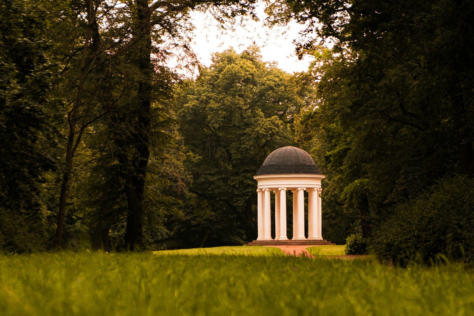 Dessau — white dome building surrounded by green trees during daytime
