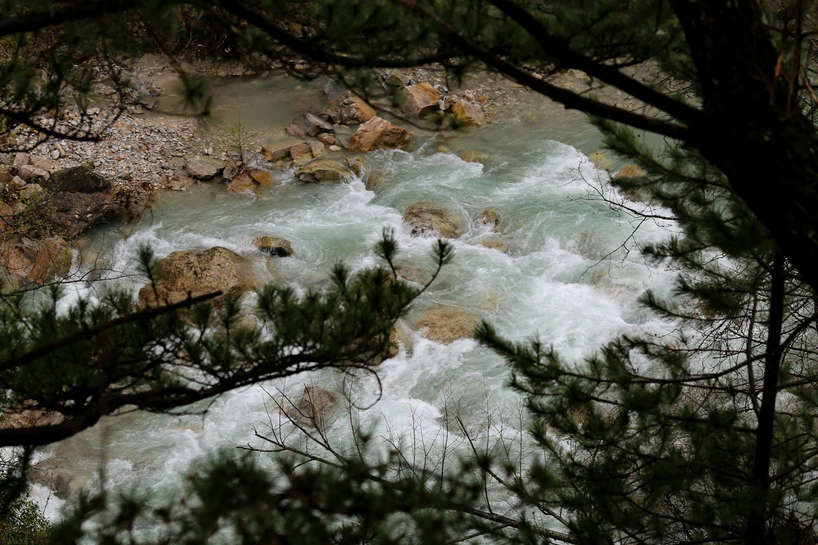Die — a river flowing through a forest filled with rocks