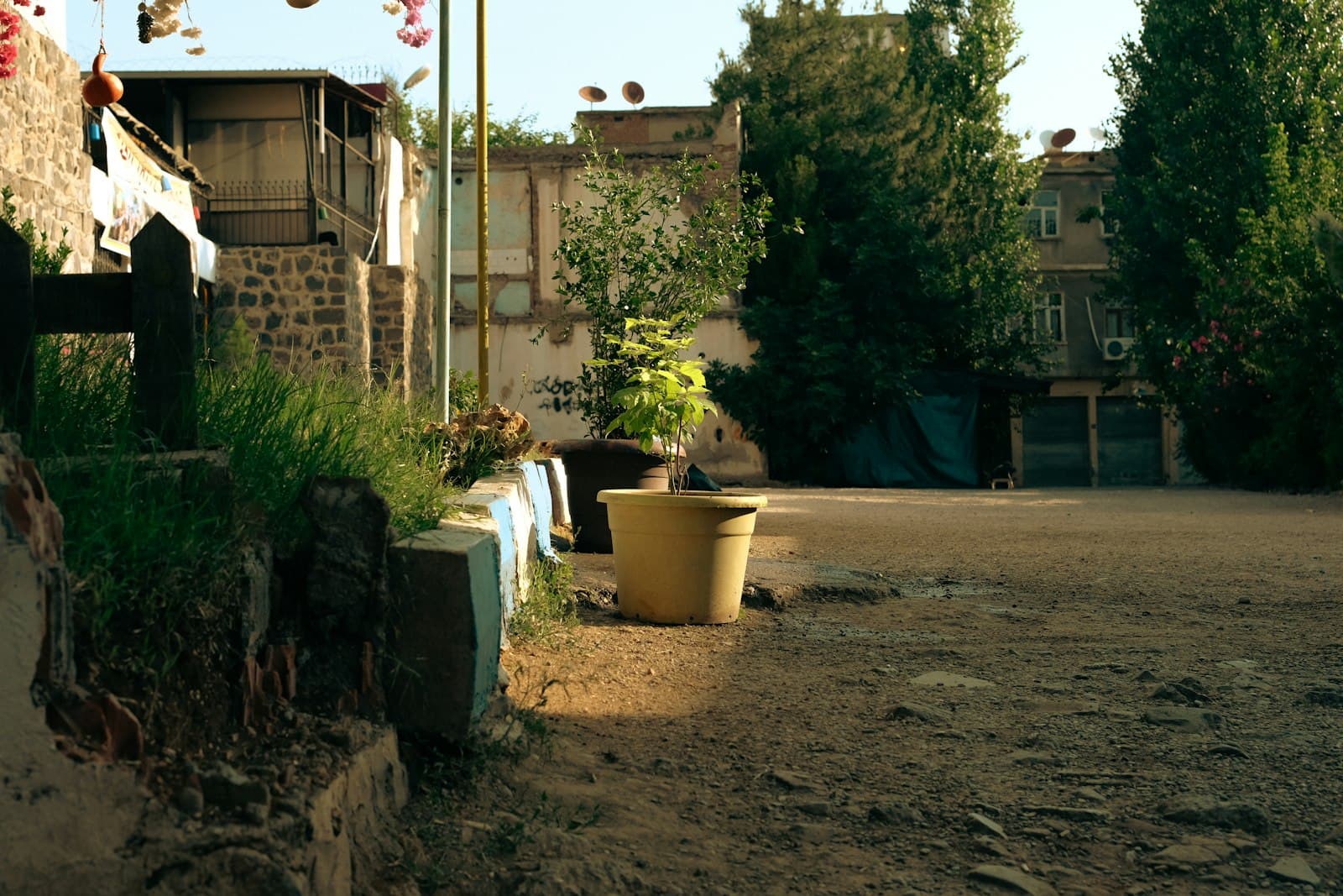 Diyarbakır — A quiet courtyard with trees and buildings.