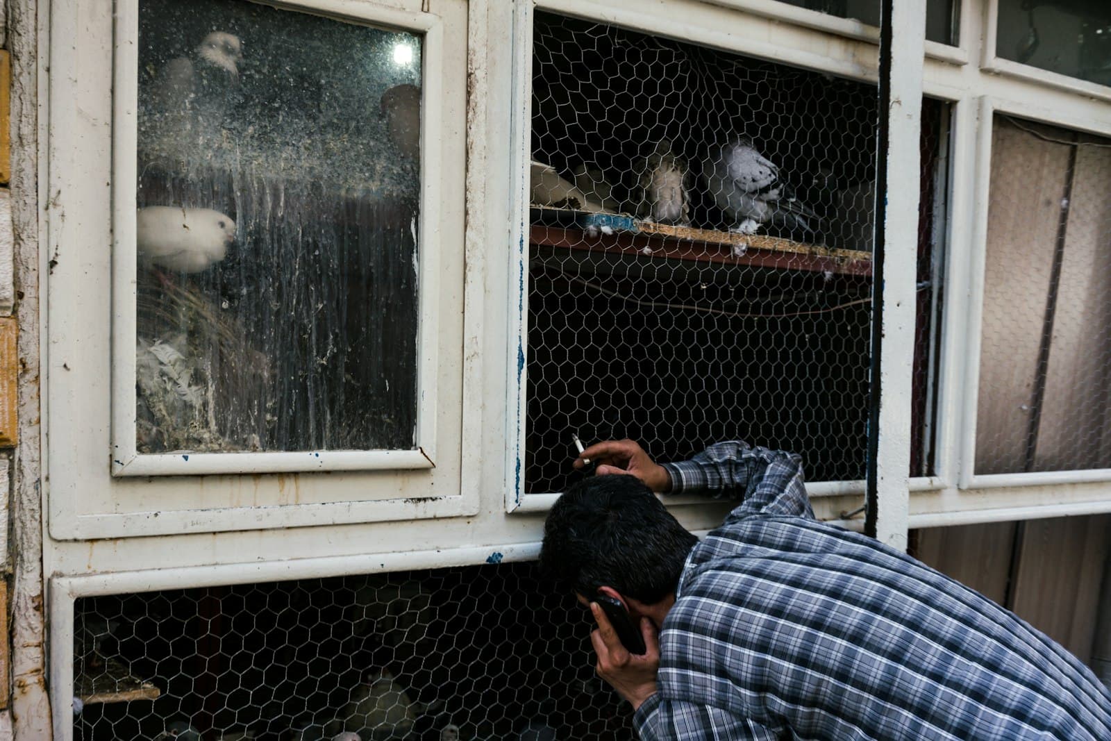 Diyarbakır — person looking at cage