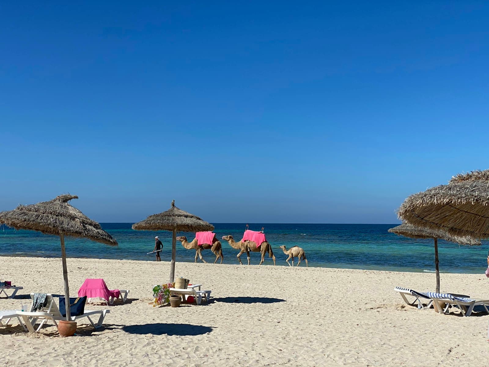 Djerba — people on beach during daytime