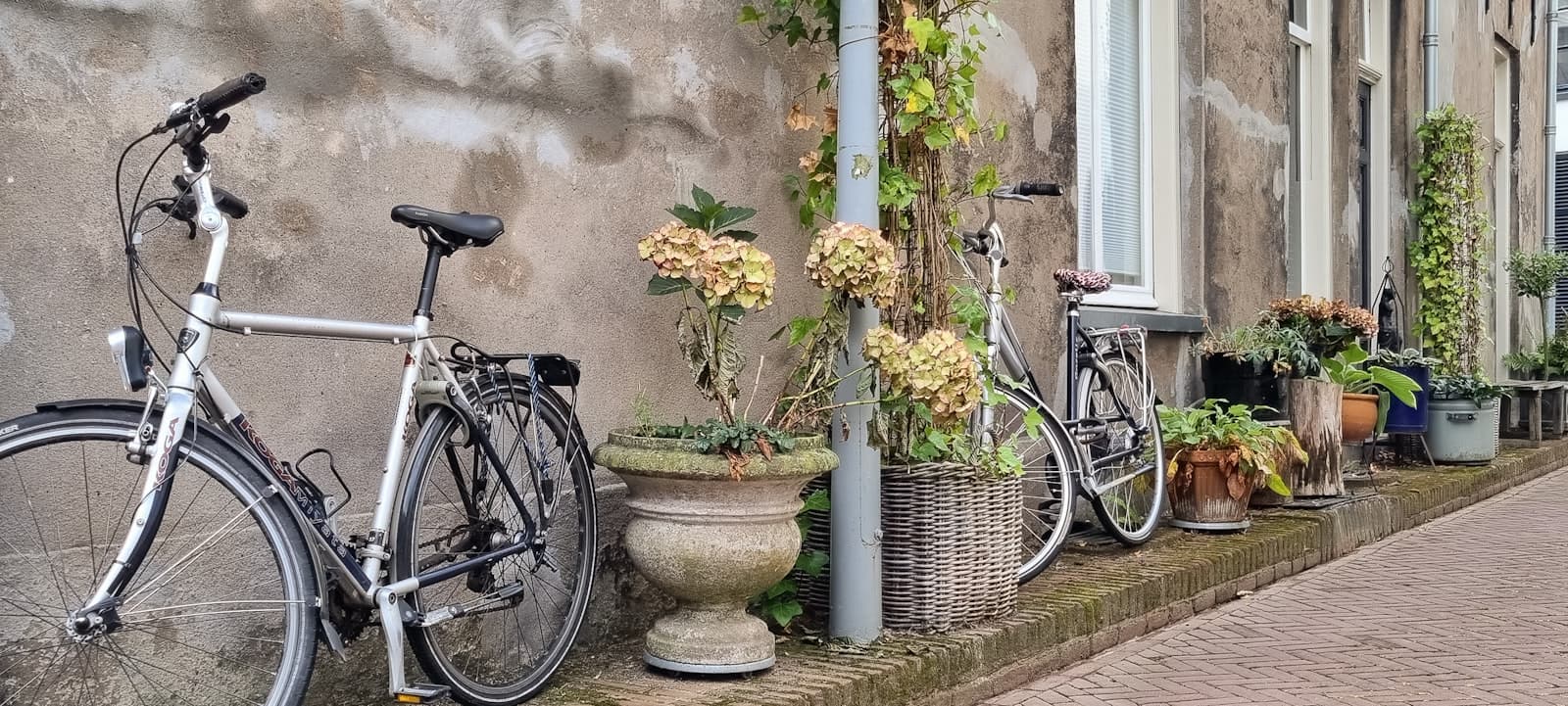 Doesburg — bicycles parked on a sidewalk