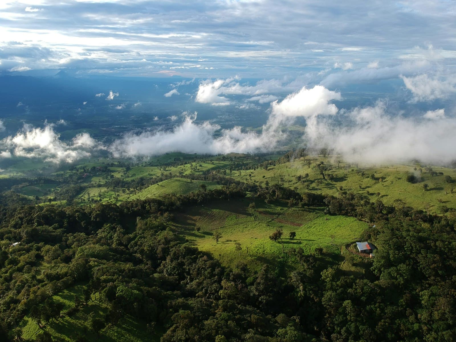 Dominical — aerial photo of forest during daytime