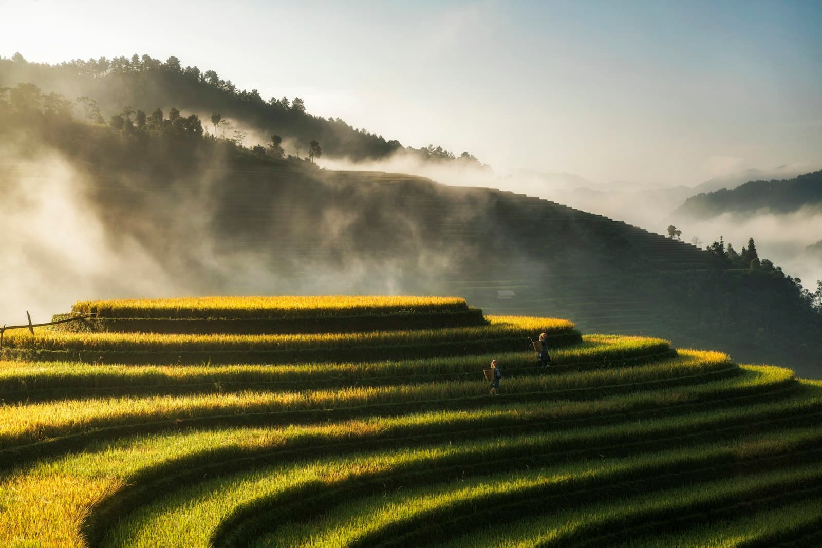 Đông Hà — green grass field near body of water during daytime