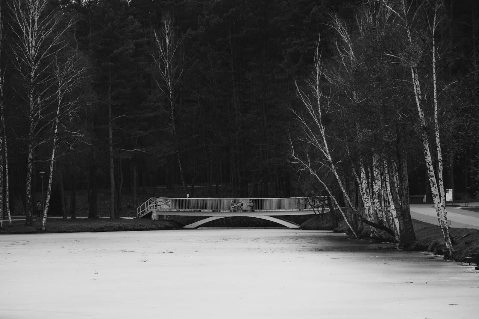 Druskininkai — a bridge over a frozen lake surrounded by trees