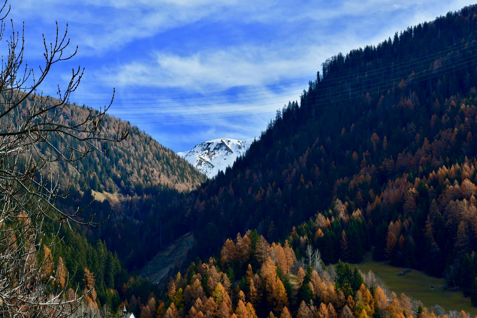 Ernen — green and brown trees on mountain under white clouds during daytime