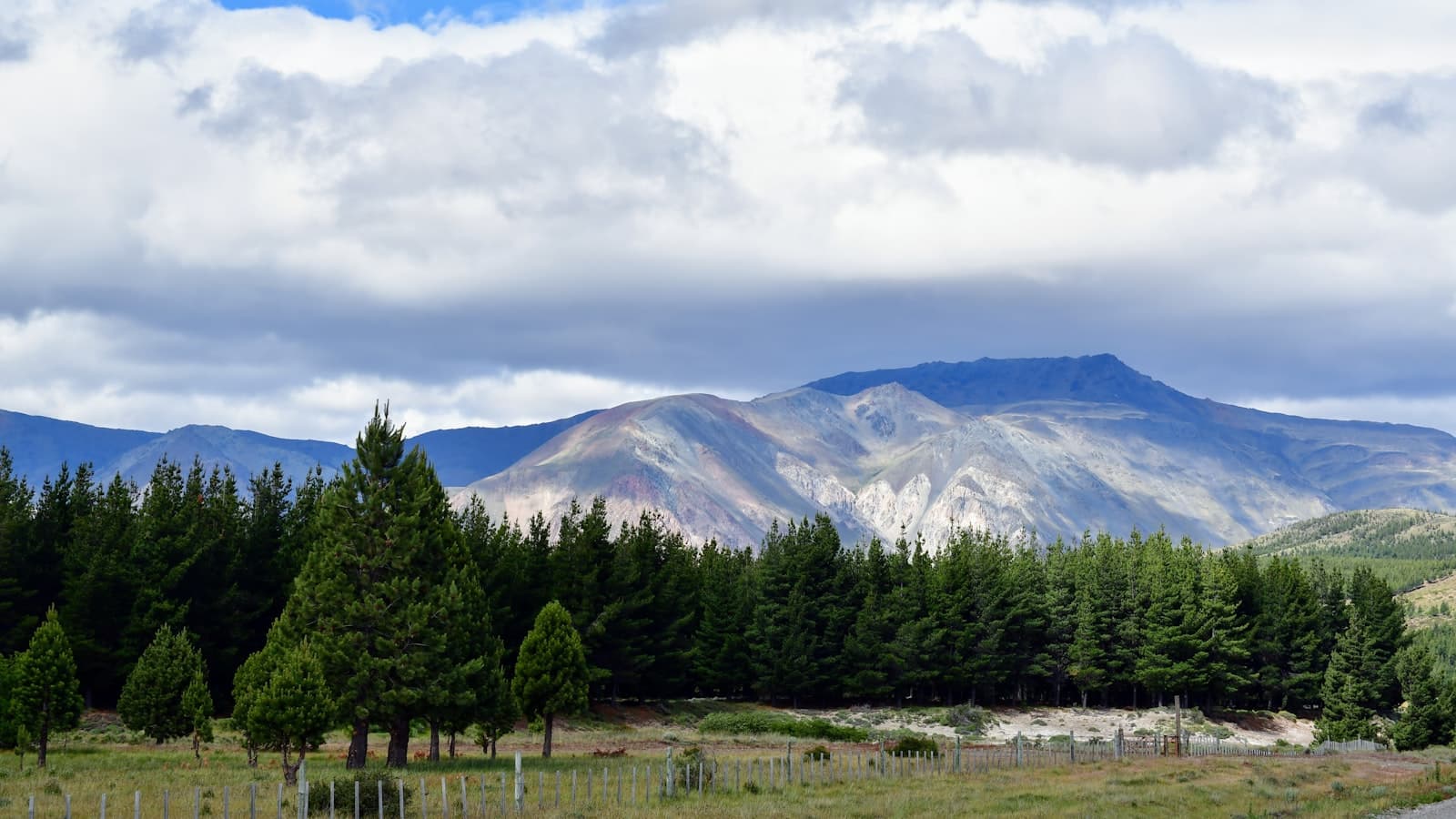 Esquel — green pine trees near mountain under white clouds during daytime