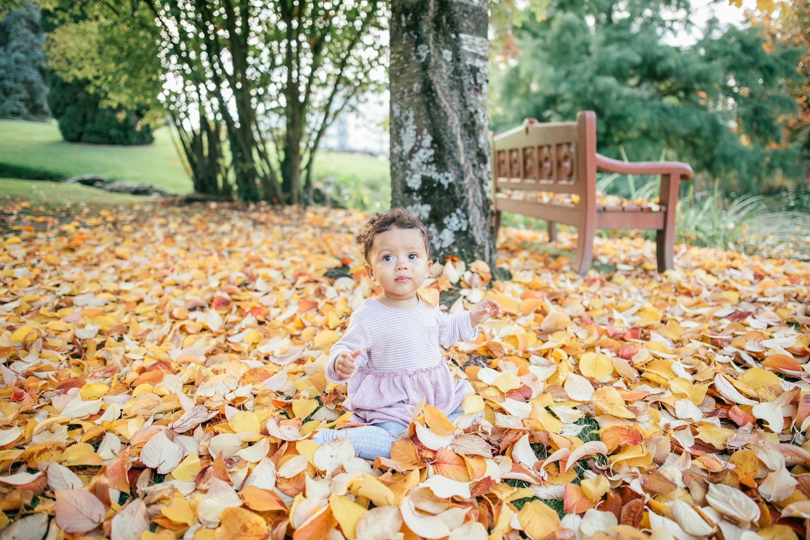 Évian-les-Bains — toddler sitting on leaf-covered ground near bench during daytime