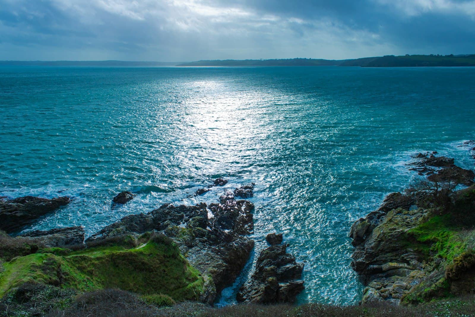 Falmouth — green moss on rocky shore during daytime