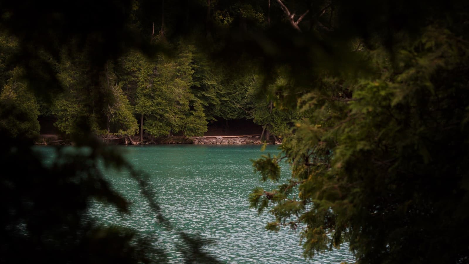 Fayetteville — A tranquil lake is framed by lush, green trees.